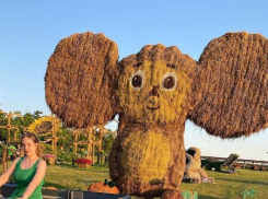 Гигантского Чебурашку из сена заметили на бахче Пономаревых в Ставропольском крае 