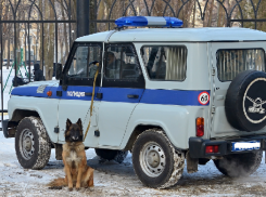 Задержанный на Ставрополье избил полицейского