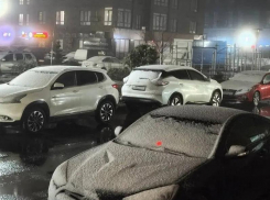 Снег выпал в Ставрополе ночью 8 апреля 