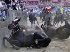 Мужчина погиб на скачках на Ставрополье