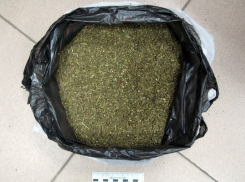 Полкилограмма марихуаны нашли полицейские у жителя Невинномысска