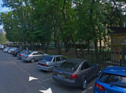 Мэрия Ставрополя обещает «сохранить» деревья, на вырубку которых под парковку уже заключен контракт 