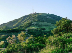 При реконструкции «Машука» сохранят деревья