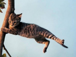 Будьте аккуратнее: на Ставрополье ожидается жесткий шторм