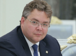 В рейтинге глав субъектов РФ губернатор Владимиров занял 49 место