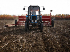 На Ставрополье приступили к севу озимых культур
