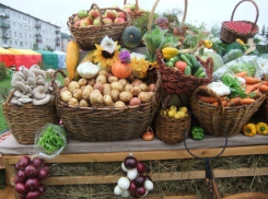 Купить дешевые фермерские продукты на ярмарке «Выходного дня» смогут жители Ставрополя 
