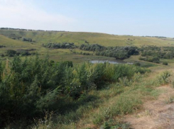 Уничтожено около 20 тысяч кустов конопли в Андроповском районе