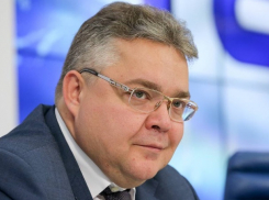 Правительство края закупает новогодние подарки на 655 тысяч рублей со странным содержимым