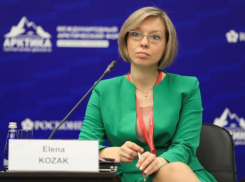 Руководителя НКО в Пятигорске Елену Козак заподозрили в мошенничестве на 300 тысяч рублей 