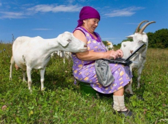 Связисты протянут 900 километров оптоволокна для устранения цифрового неравенства на Ставрополье