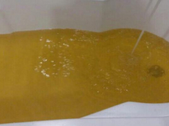 Коньяк вместо воды лился из крана на Ставрополье