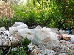 «Автора» свалки мусора в лесополосе Ставрополья выдали потерянные документы