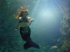 Воображаемая русалка «утащила» на дно рыбака в Ставропольском крае