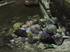 Свалка мусора в центре Пятигорска обеспокоила жителей города-курорта