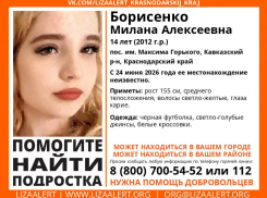 Пропавшую 14-летнюю девочку из Краснодарского края ищут на Ставрополье