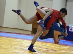 На Ставрополье прибавилось мастеров спорта по самбо