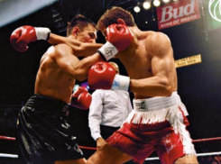 Боксёры сразятся на ринге Пятигорска