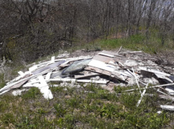 Снег растаял, мусор остался: юг Ставрополя с зимы завален строительным мусором