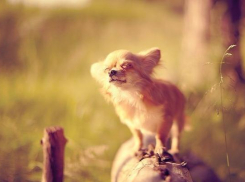 Бабье лето вновь пришло на Ставрополье