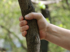 На Ставрополье депутат-скандалист разбил окна соседки палкой