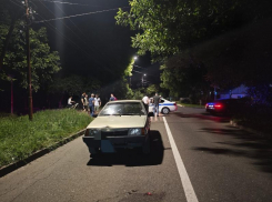 Житель соседней республики при ДТП травмировал двух детей в Пятигорске 