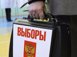 Кандидата от ЛДПР не пускали на участок в Ставрополе