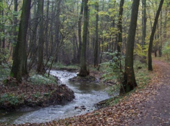 На Ставрополье мужчина с палкой в руках преследовал женщину с ребёнком 