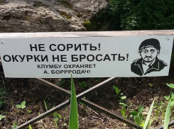 Предупреждающая табличка с изображением Галустяна возле клумбы рассмешила ставропольцев