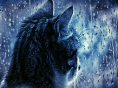 Дожди вернутся на Ставрополье во вторник