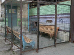 В Невинномысске нашли двор, обнесенный решеткой