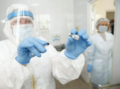 На Ставрополье первыми вакцину от коронавируса получат медики и учителя