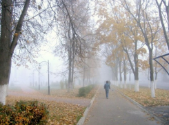 Новая рабочая неделя на Ставрополье начнется с тумана