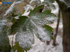 Пока центральная Россия будет греться теплом из Турции, на Ставрополье придут сибирские ветры