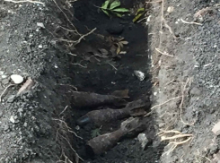 Мины из сквера Пятигорска вывезут и уничтожат