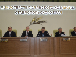 В краевой столице выбрали нового председателя Совета Ставропольской АККОР