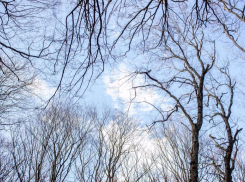 Середина недели в Ставрополе будет теплой и солнечной