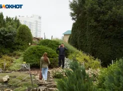 Статус курорта может получить город Лермонтов после вступления в особую экономическую зону