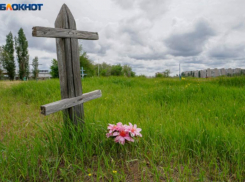 Администрацию Ставрополя обманули с землей под кладбище на 94 миллиона рублей 