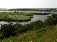 Поджигателя поля около озера Кравцово удалось вычислить в Ставрополе