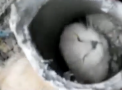 В Ставрополе мужчина спас своего кота, но разрушил фундамент дома