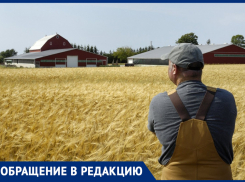 Экс-глава КФХ винит брата сенатора Ставрополья в затянувшемся на 8 лет уголовном деле и просит властей разобраться