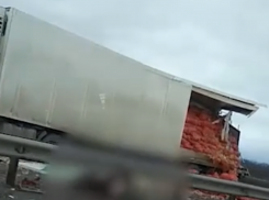  Один из водителей погиб при столкновении двух большегрузов на Ставрополье