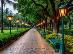 Бизнес-вумен хотела озолотиться на 650 тысяч во время благоустройстве парка в Буденновске