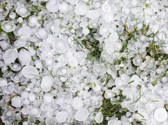 От града пострадали 1800 гектаров посевов на Ставрополье