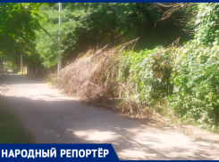 Заваленное сухостоями кладбище в Ставрополе пугает прохожих