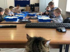 В Ставрополе пройдет бесплатный фестиваль робототехники для детей