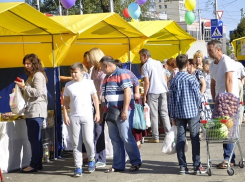 Выгодные ярмарки выходного дня пройдут в Ставрополе