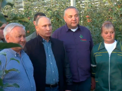 Президент России поздравил всех работников сельского хозяйства со Ставрополья