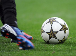 Футбольный тренер из Швейцарии задолжал своему сыну в Ставрополе более полмиллиона рублей